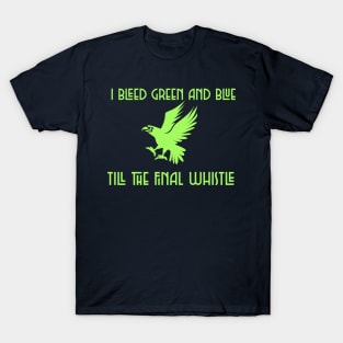 I BLEED GREEN AND BLUE T-Shirt